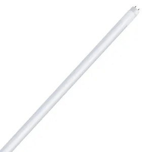 4 ft. 18W (32W Replacement) Daylight Deluxe (6500K) Direct Replacement (Type A) T8 LED Tube (2-Pack)