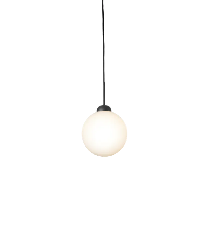 Apiales 1 Suspension Lamp
