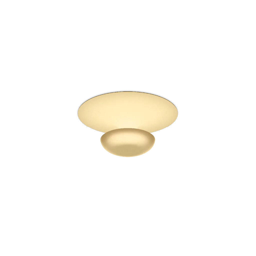 Funnel Ceiling/Wall Lamp