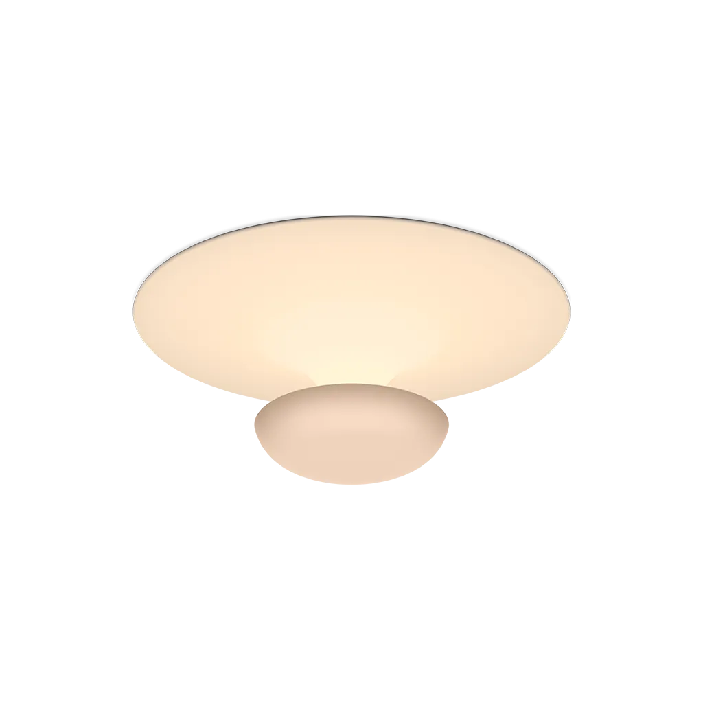 Funnel Ceiling/Wall Lamp