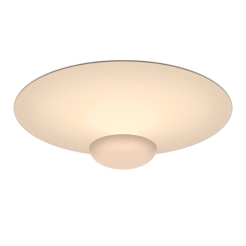 Funnel Ceiling/Wall Lamp