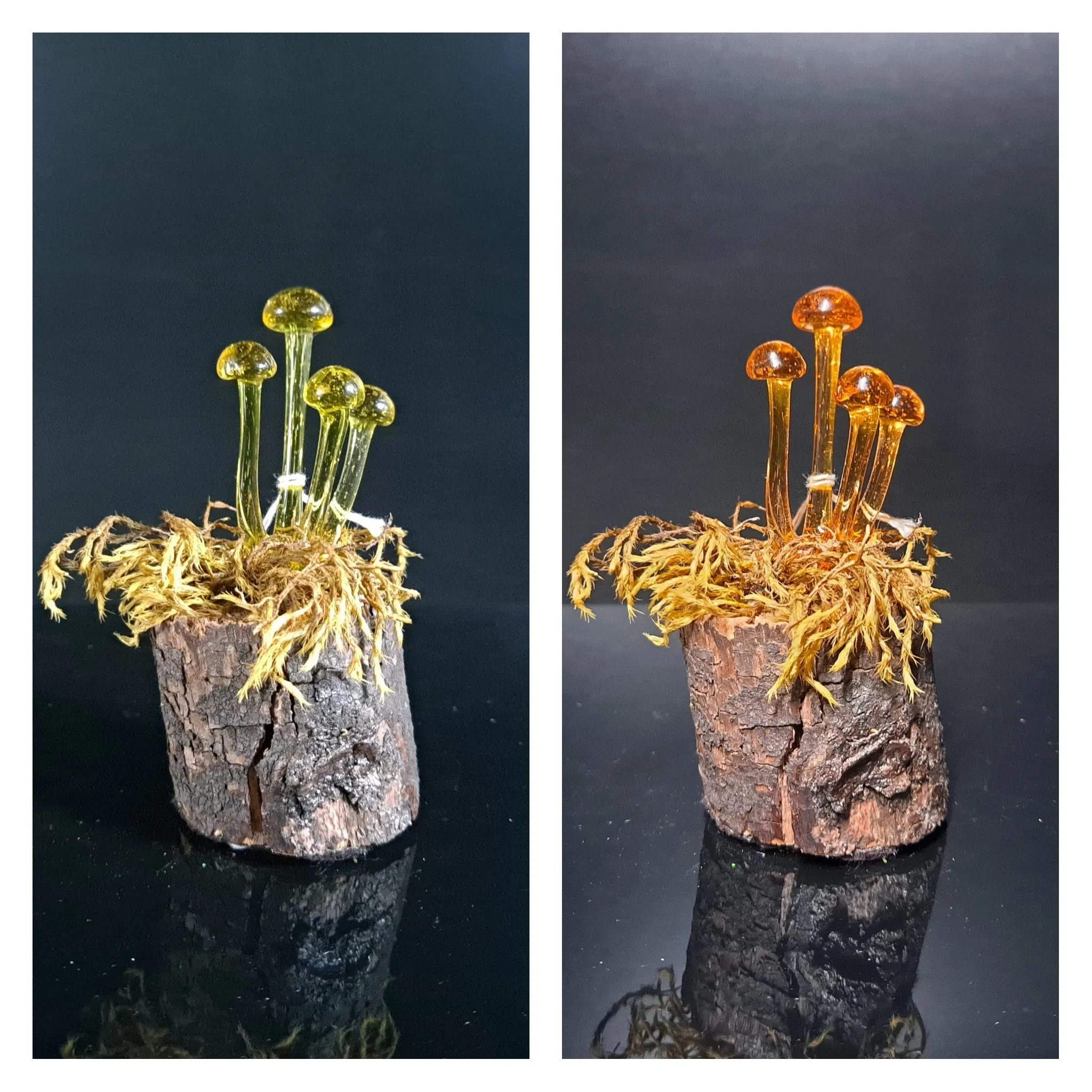 Mushroom Sculpture, Color Changing Mushroom Collection