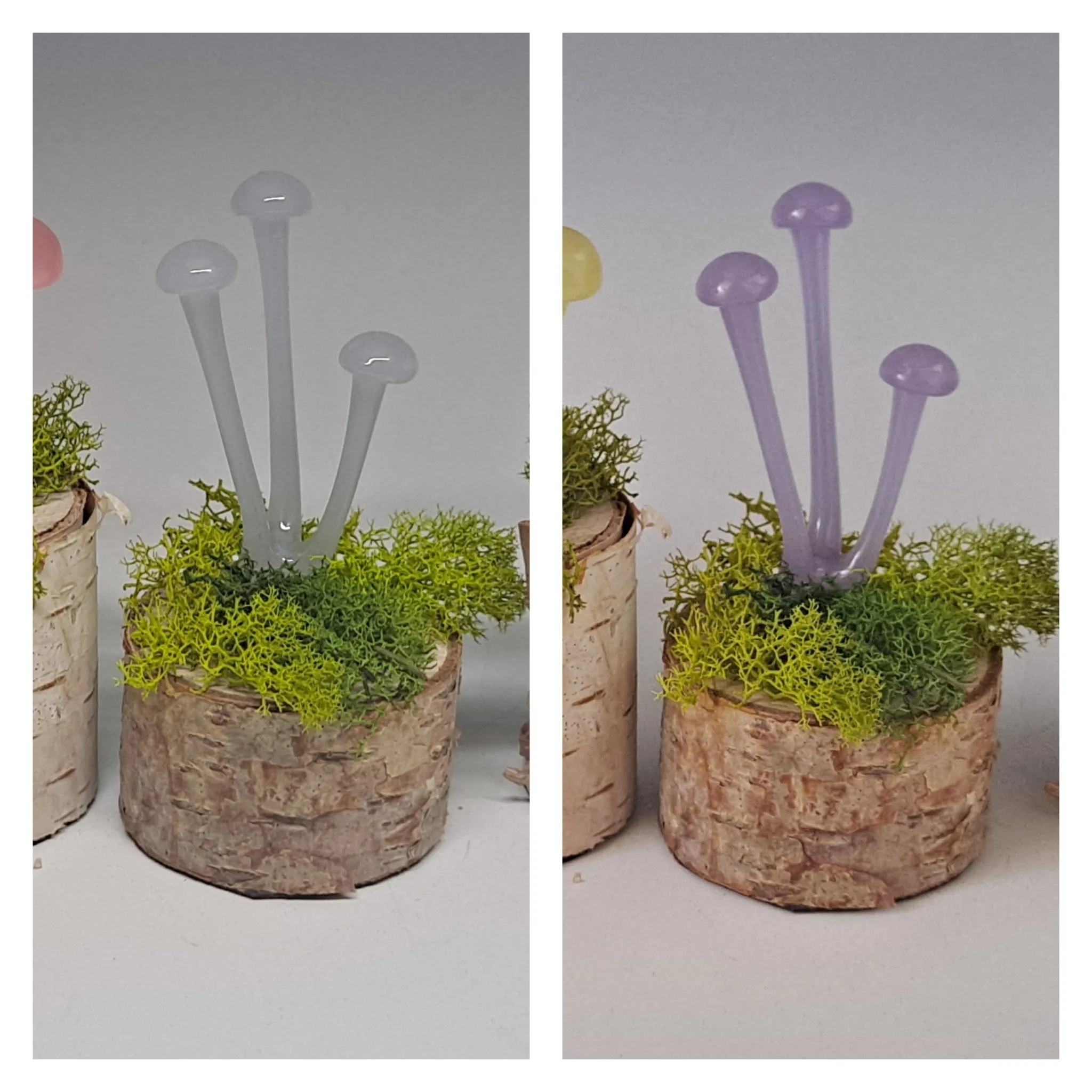 Mushroom Sculpture, Color Changing Mushroom Collection