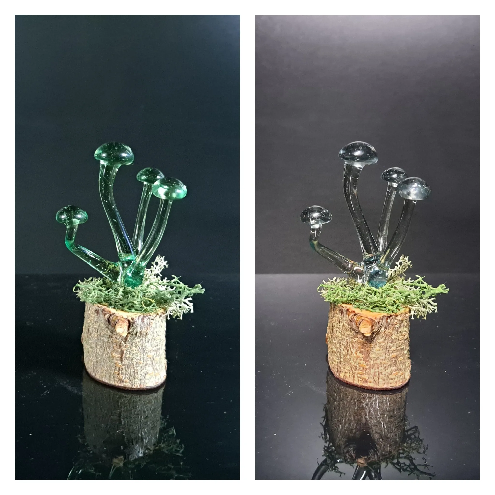 Mushroom Sculpture, Color Changing Mushroom Collection