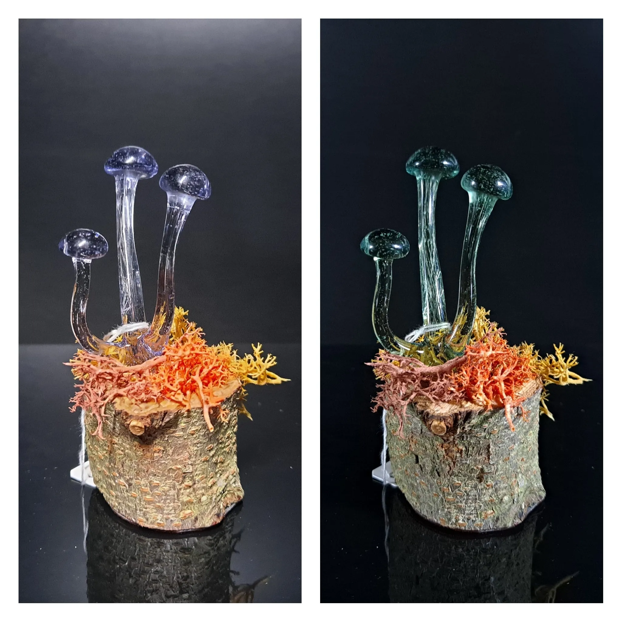 Mushroom Sculpture, Color Changing Mushroom Collection